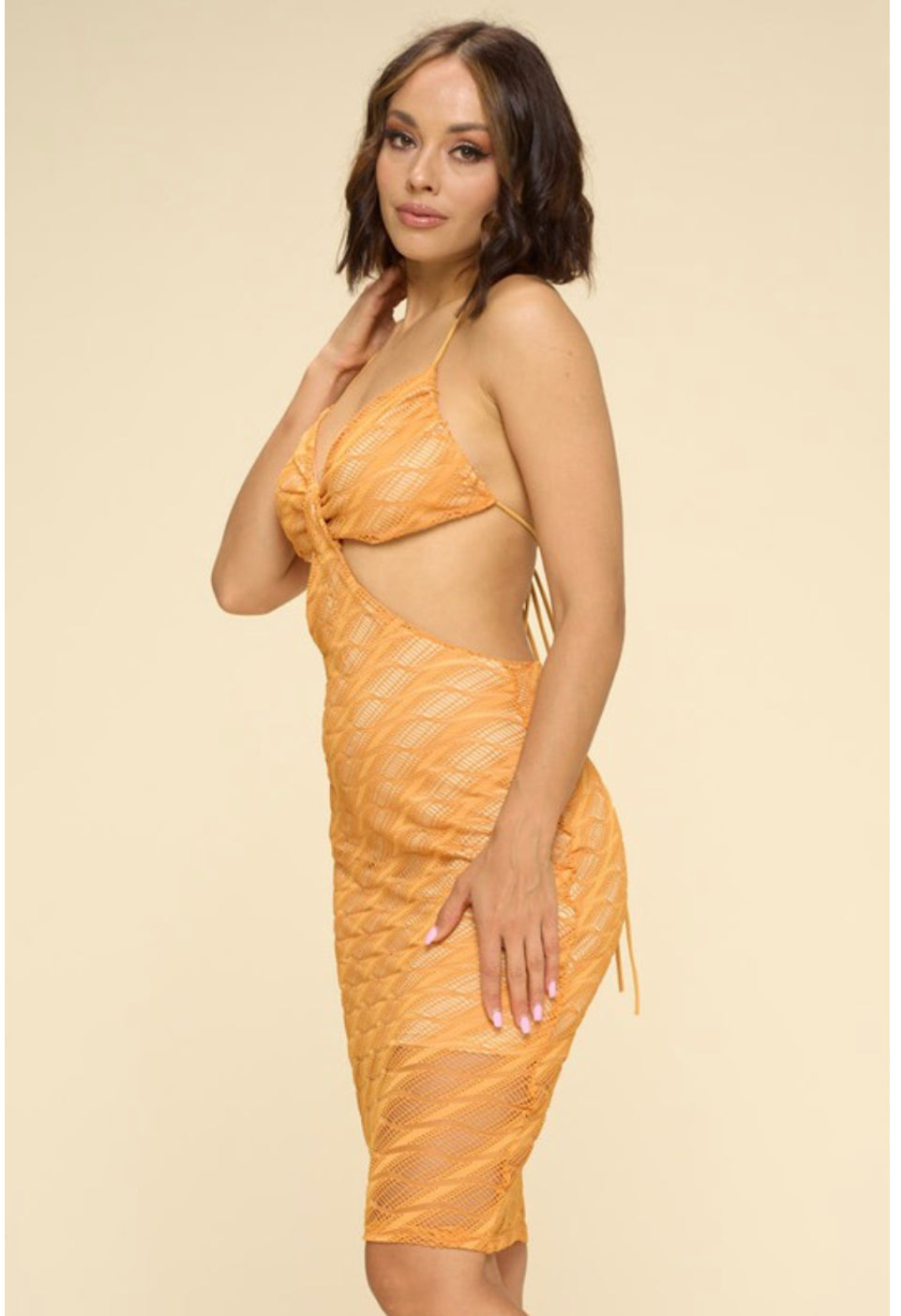 RIYA CUTOUT OPEN BACK MESH MIDI DRESS